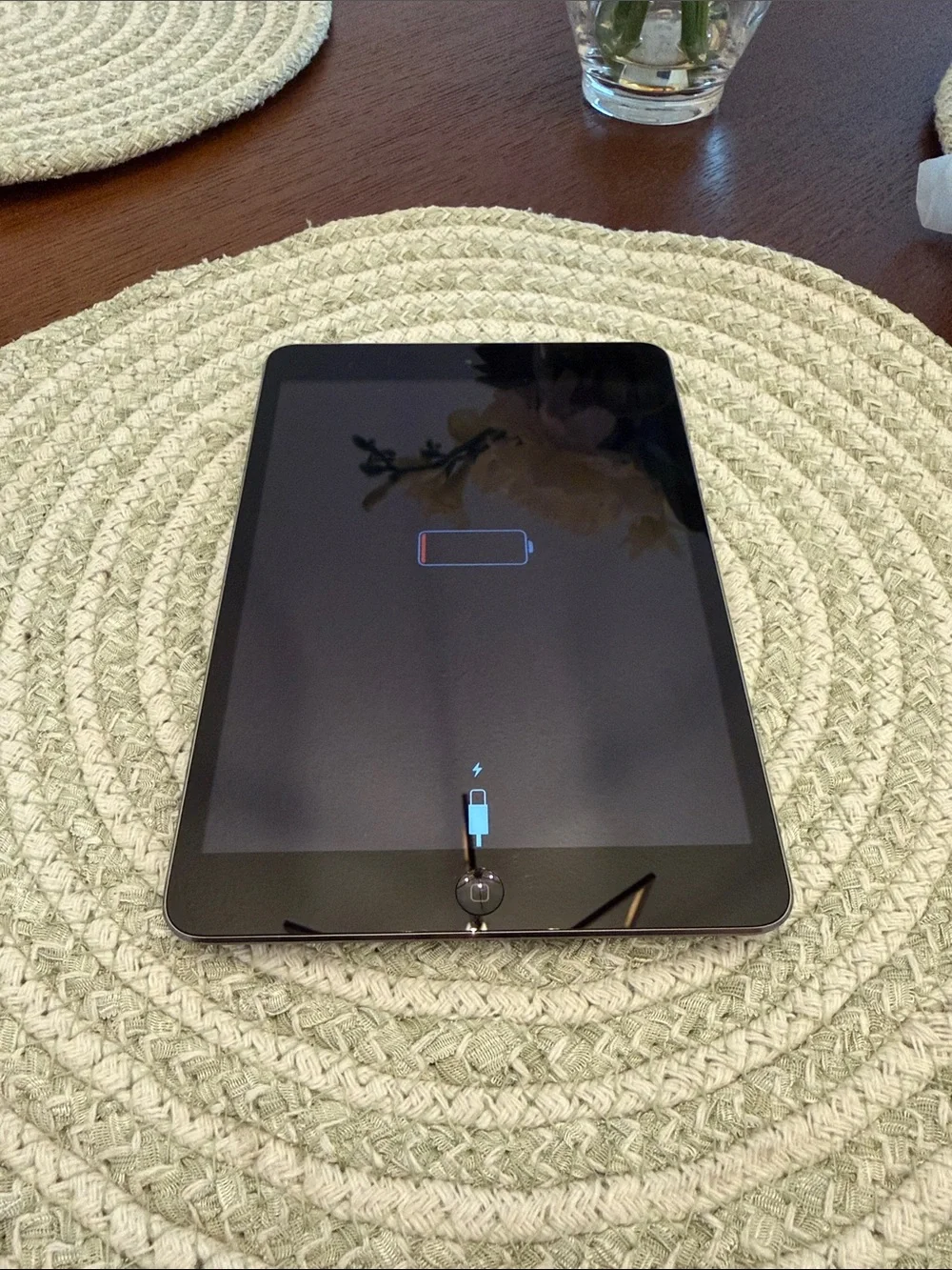 Apple iPad - Space Gray Back Panel